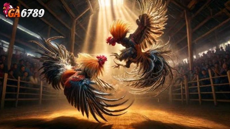 Lý Do Khẳng Định Ga6789 Là Nhà Cái Uy Tín Hàng Đầu Giới thiệu Ga6789