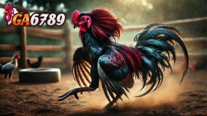 Mẹo Chọn Gà Đá Hay - Bí Quyết Từ Cao Thủ Ga6789