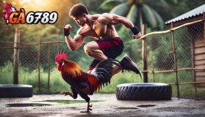 Kinh Nghiệm Nuôi Gà Đá - Bí Quyết Nuôi Gà Chiến Thắng Lợi