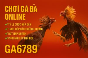 Chơi Gà Đá Online – Trải Nghiệm Cược Đá Gà Đỉnh Cao Cùng Nhà Cái Ga6789