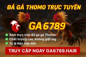 Đá Gà Thomo Trực Tuyến – Trải Nghiệm Đỉnh Cao Tại Ga6789