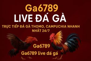 Ga6789 Live Đá Gà