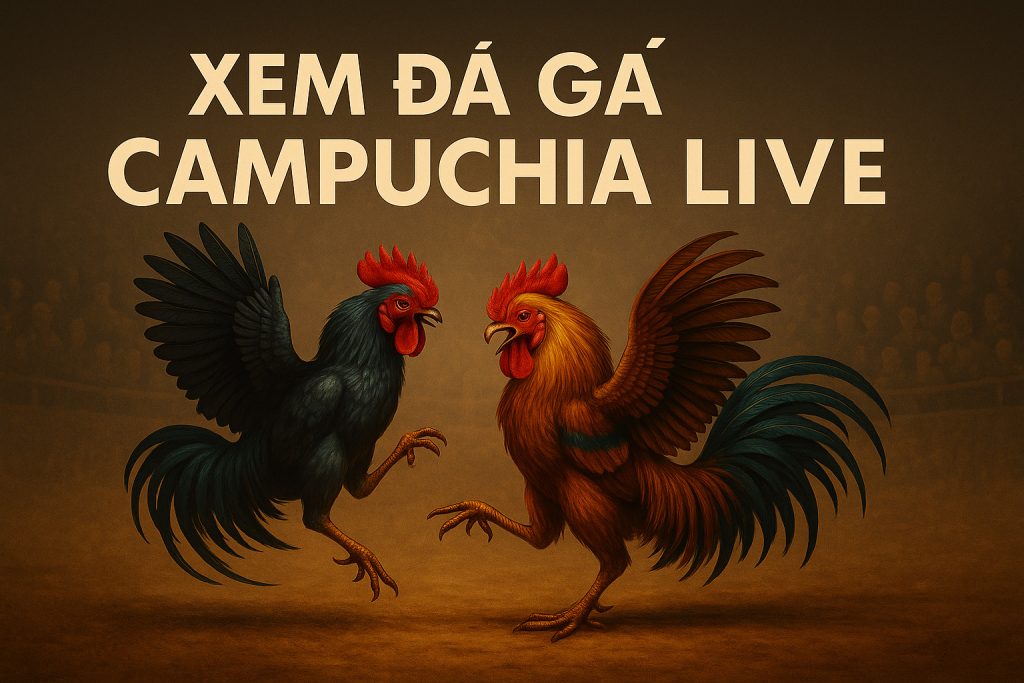 Xem Đá Gà Campuchia Live Miễn Phí